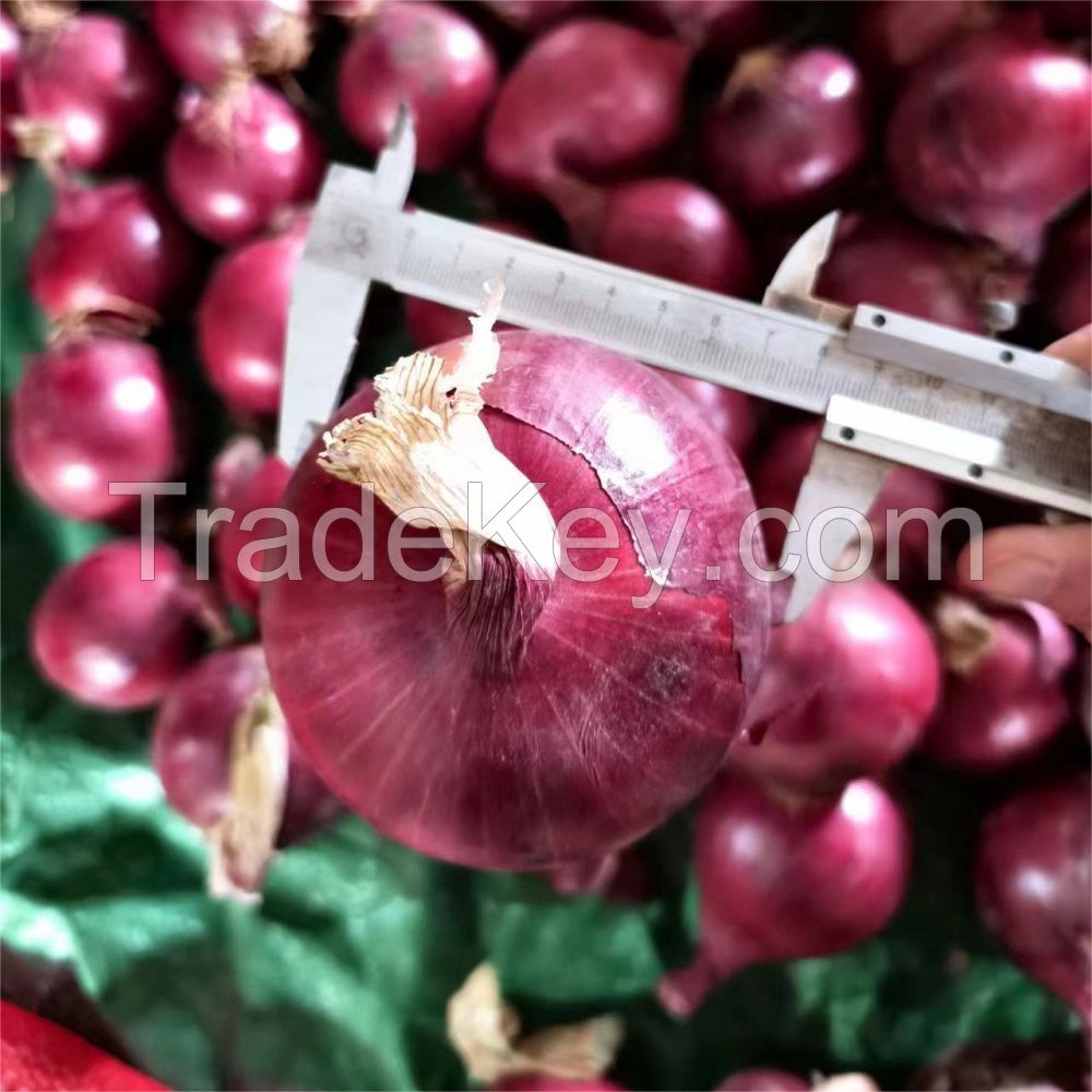 50x80cm Onion Fresh Onion Yellow Red Onion 35 Kg Mesh Bags