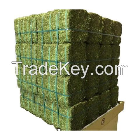 Buy Alfalfa Hay Price Thailand Direct From Alfalfa Hay Price Factories Buy Alfalfa hay Compressed Price