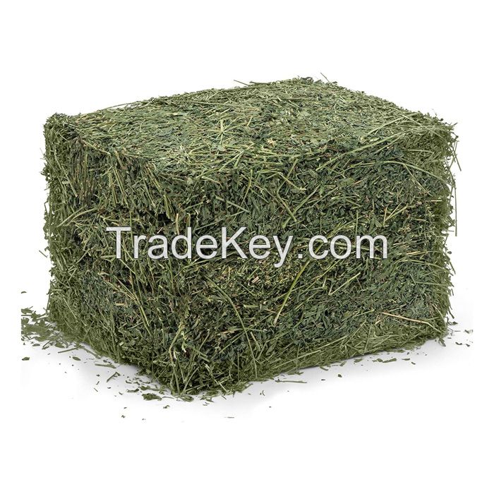 Buy Alfalfa Hay Price Thailand Direct From Alfalfa Hay Price Factories Buy Alfalfa hay Compressed Price