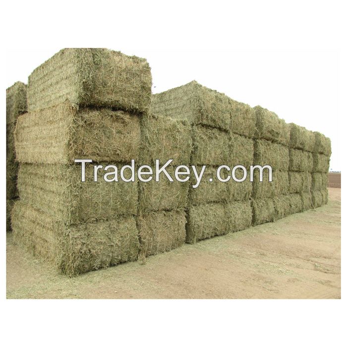 Buy Alfalfa Hay Price Thailand Direct From Alfalfa Hay Price Factories Buy Alfalfa hay Compressed Price