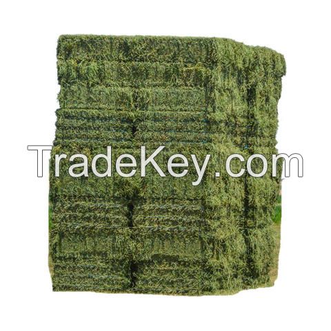 Buy Alfalfa Hay Price Thailand Direct From Alfalfa Hay Price Factories Buy Alfalfa hay Compressed Price