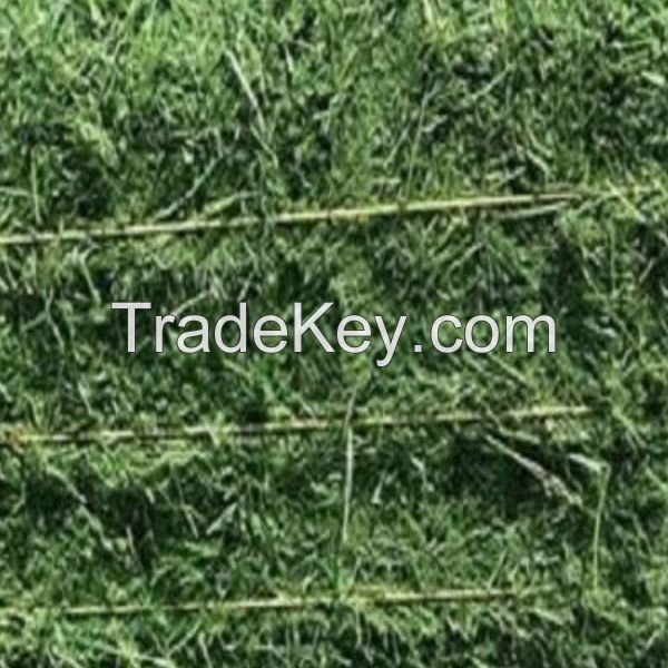 Order Alfalfa Hay in Bulk for Livestock Feed High Quality Alfalfa Hay Available for Bulk Purchase at Low Prices