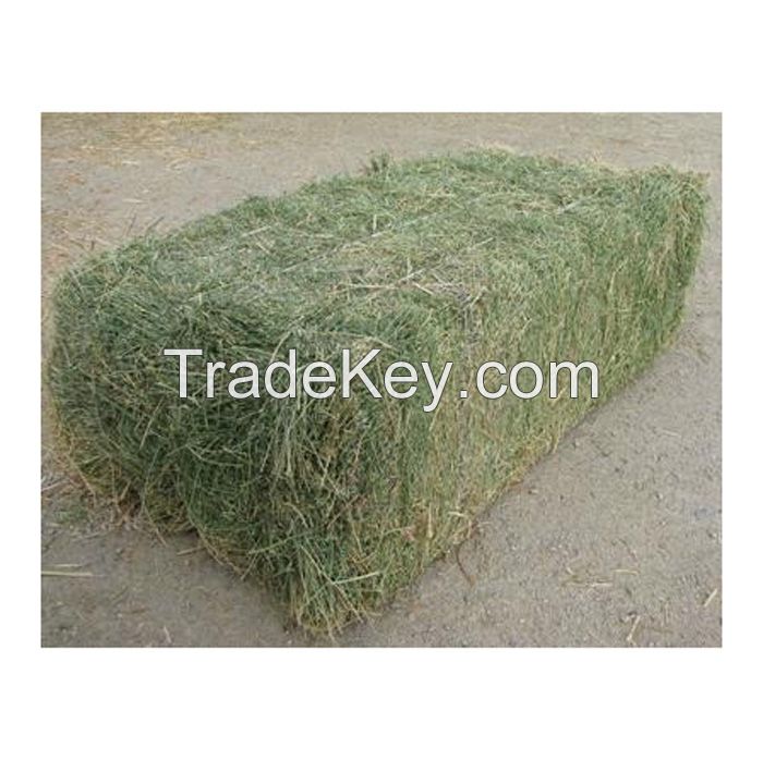 Buy Alfalfa Hay Price Thailand Direct From Alfalfa Hay Price Factories Buy Alfalfa hay Compressed Price