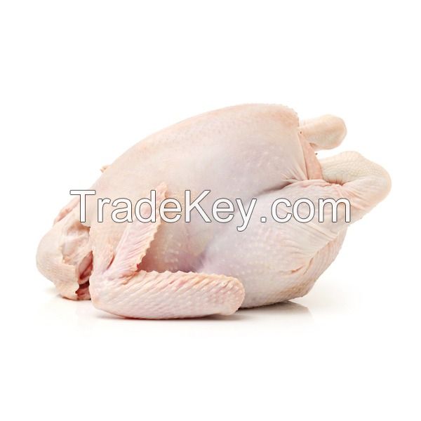 Whole Chicken Frozen / Halal Chicken Feet / Frozen Chicken Paws Brazil