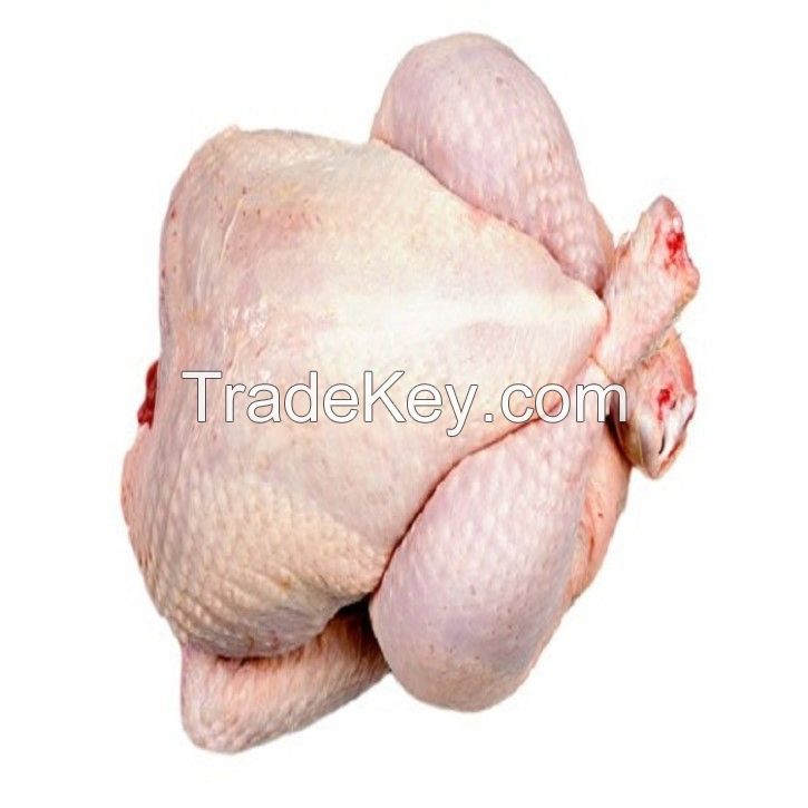 Whole Chicken Frozen / Halal Chicken Feet / Frozen Chicken Paws Brazil