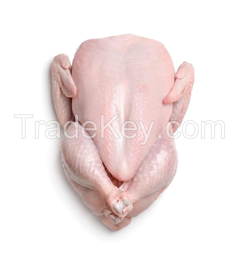 Whole Chicken Frozen / Halal Chicken Feet / Frozen Chicken Paws Brazil