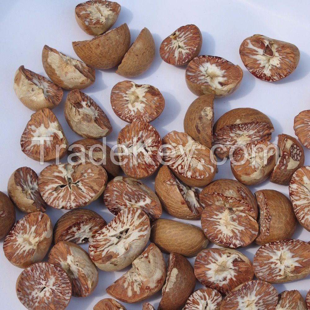 SELL DRIED WHOLE BETEL NUT GOOD CUT FROM South Africa