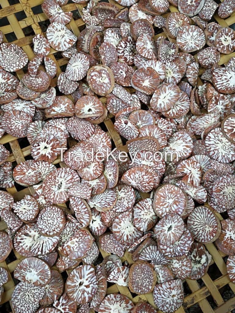 SELL DRIED WHOLE BETEL NUT GOOD CUT FROM South Africa