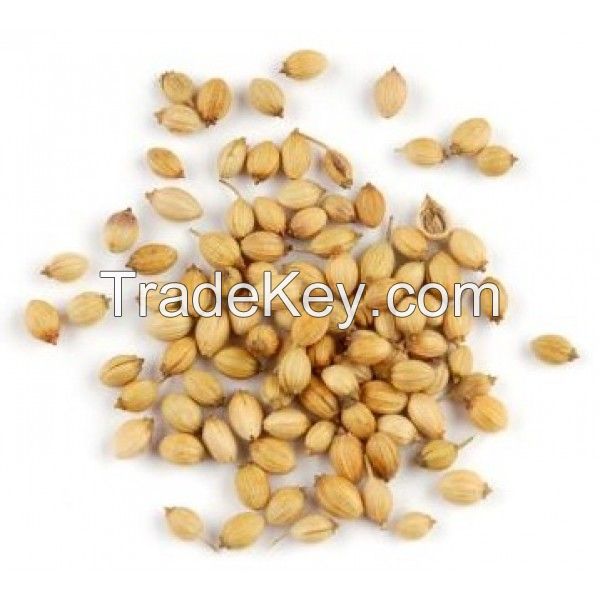 Coriander Seeds