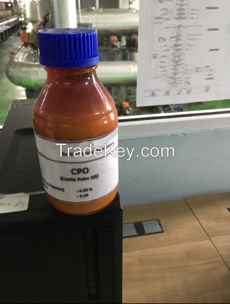 RBD Palm Olein Oil CP-10