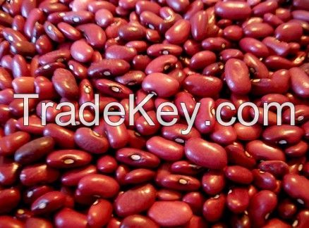 Red Kidney Beans