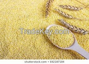 Barley, Milet, Rice, Rey, Wheat, Oats, Sorghum