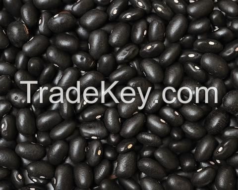 Black Beans 