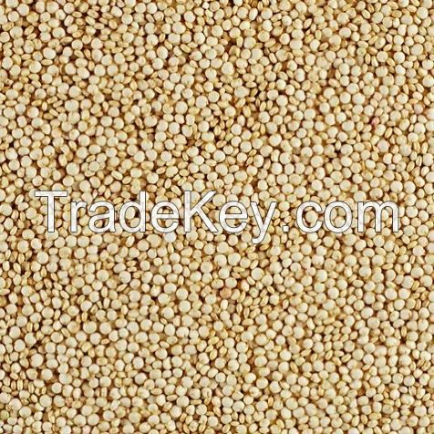 Quinoa seeds