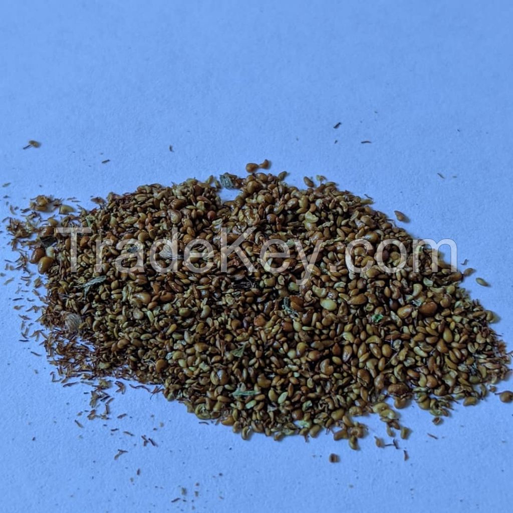 Strawberry fruit seeds