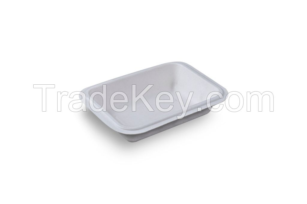 Sugarcane Bagasse Plate