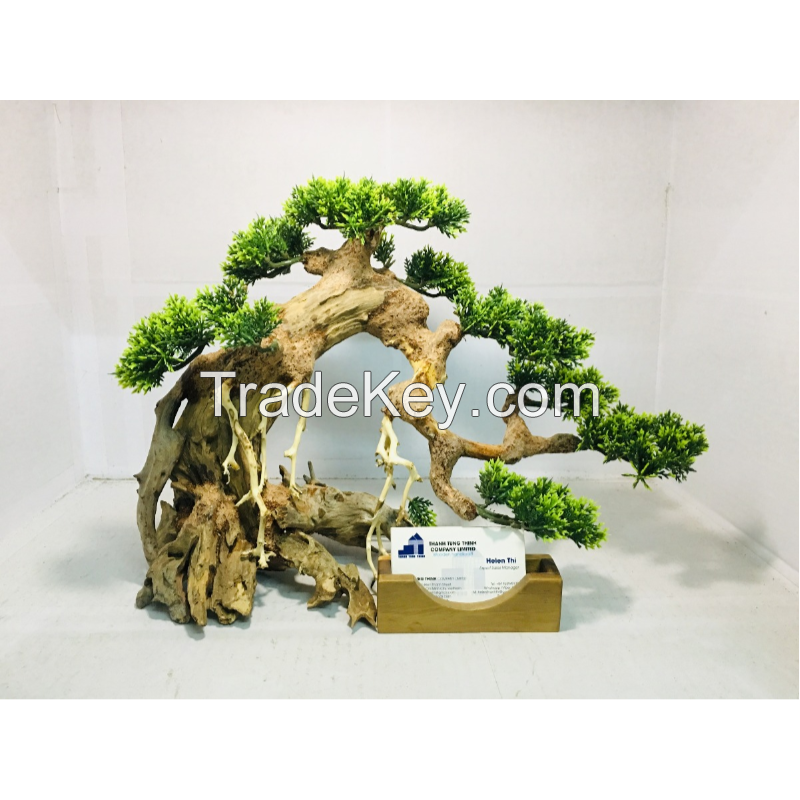 Green bonsai driftwood for aquarium 