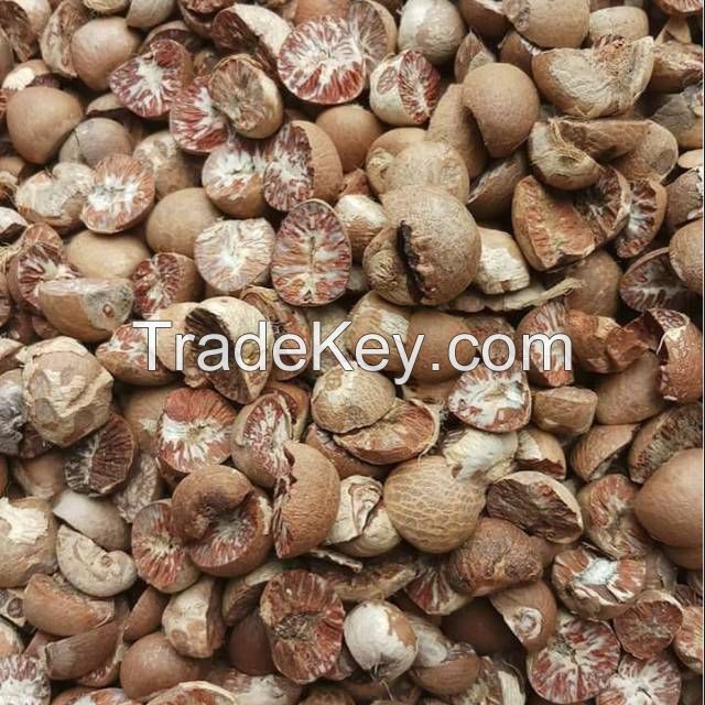 BETEL NUTS ( Cuts , Uncut, Coin, 90/95 80/85 70/75 )