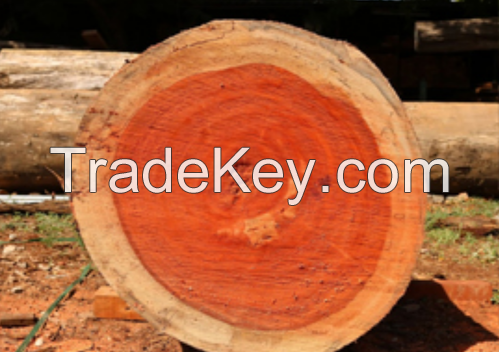 Padauk Wood Log 