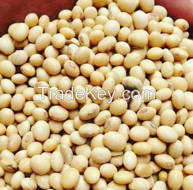 Soybean