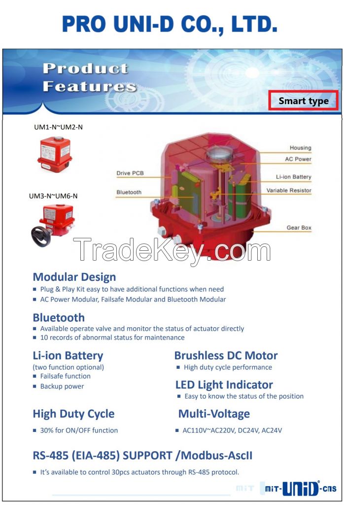 Electric actuator 