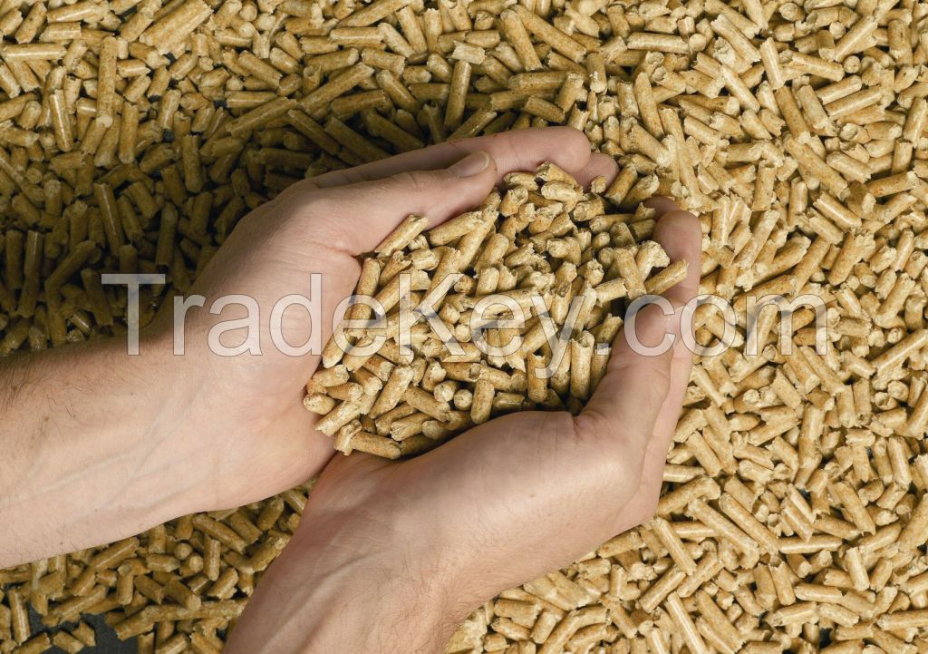 Wood Pellet