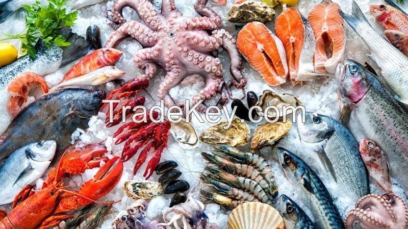 Seafood, Fishery/Marine Products, Shrimp, Tuna, Squid, Crab, Seaweed and Tilapia