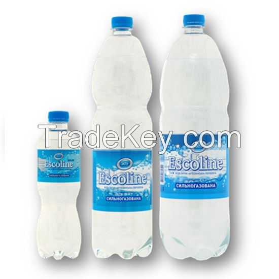 Sparkling Mineral Water