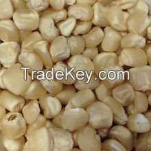 White Corn, White Corn Suppliers , Non GMO Yellow Corn /White Corn /maize For Sale