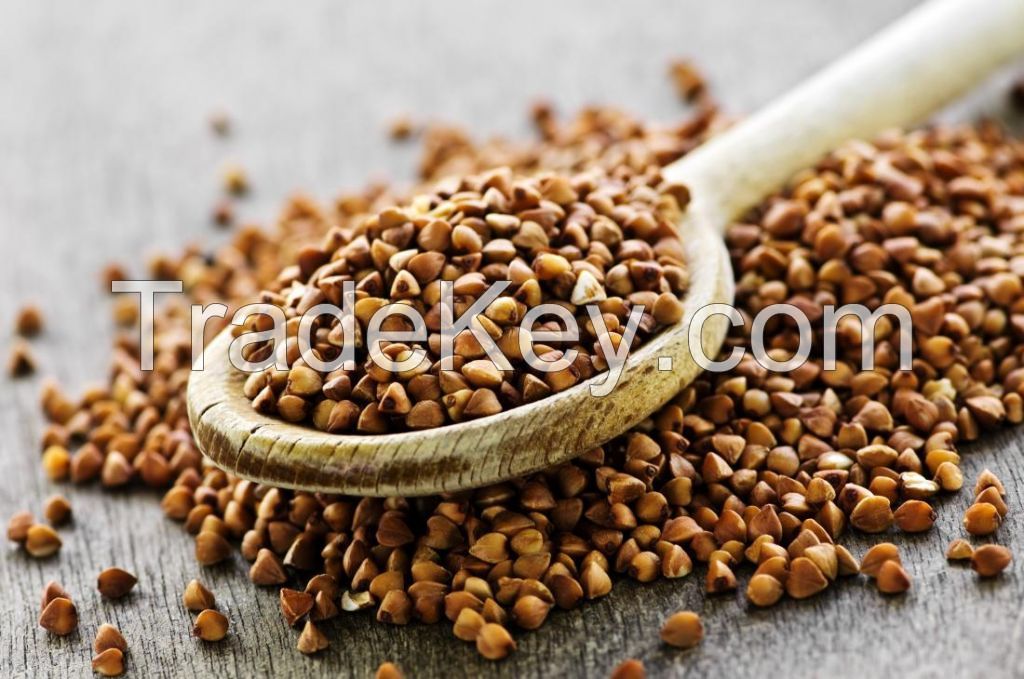 BUCKWHEAT