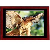 15" digital photo frame