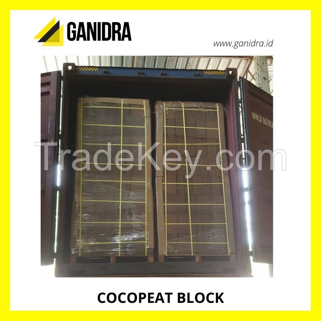 COCOPEAT BLOCK offer from Indonesia