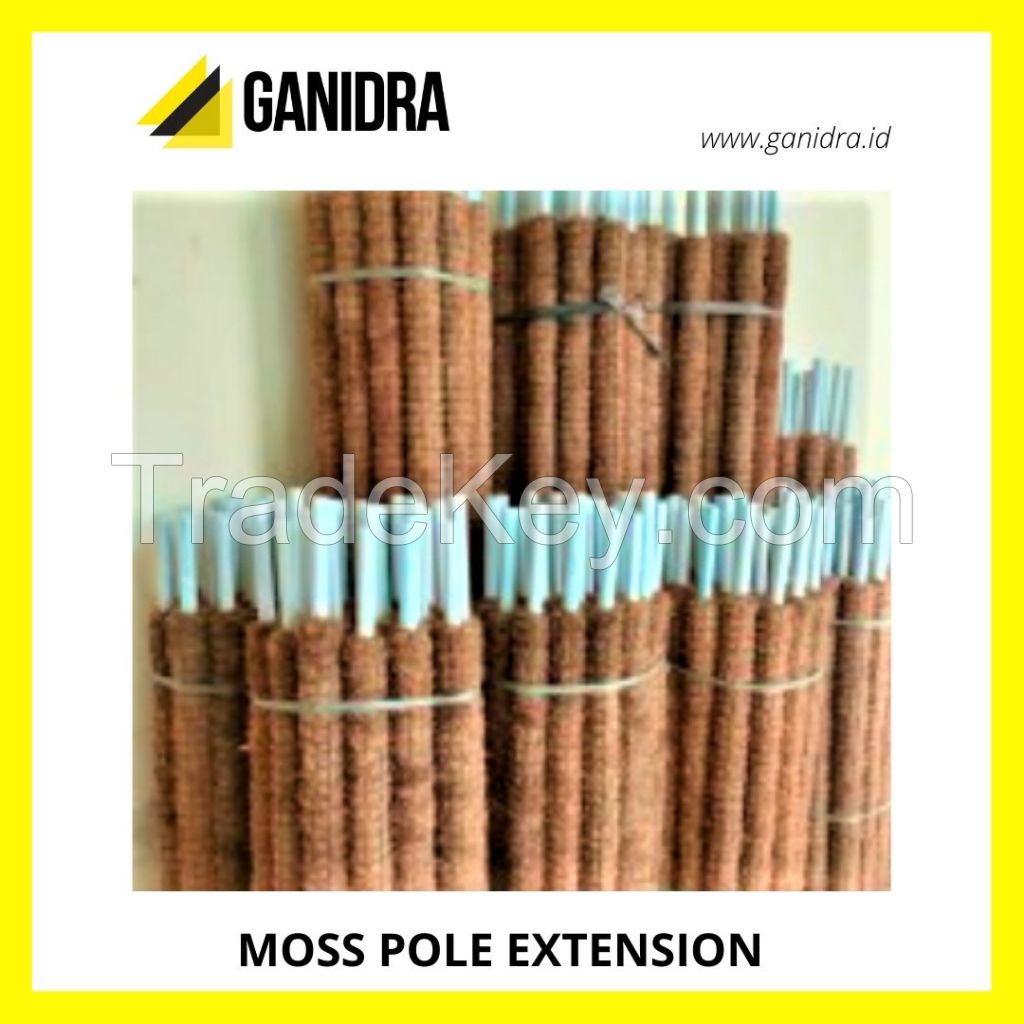 MOSS POLE EXTENSION