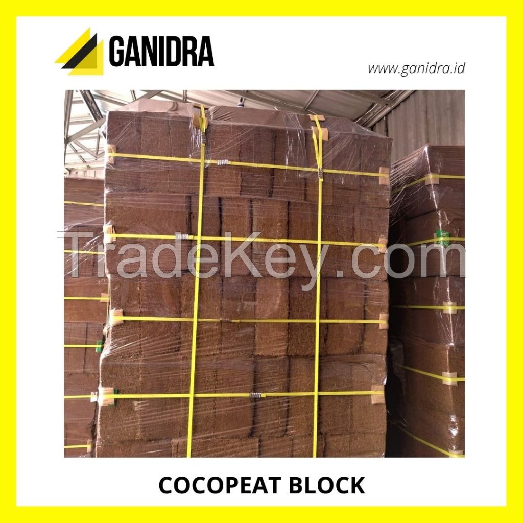 COCOPEAT BLOCK offer from Indonesia