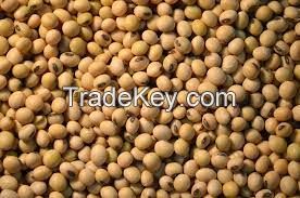 Non GMO High Grade Good Quality Soy Beans Raw Soybean Grain In Bags Organic Bulk Soybean Seeds For Food