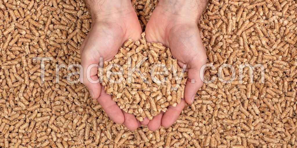 TOP QUALITY 2022 WOOD PELLET FUEL