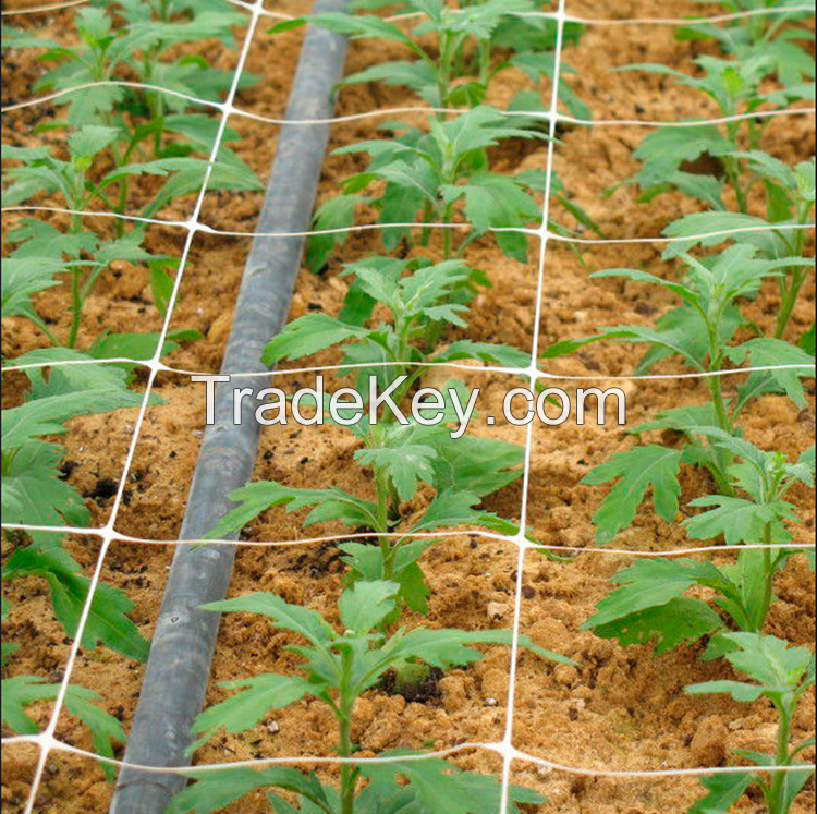 PP Plastic plant trellis support net