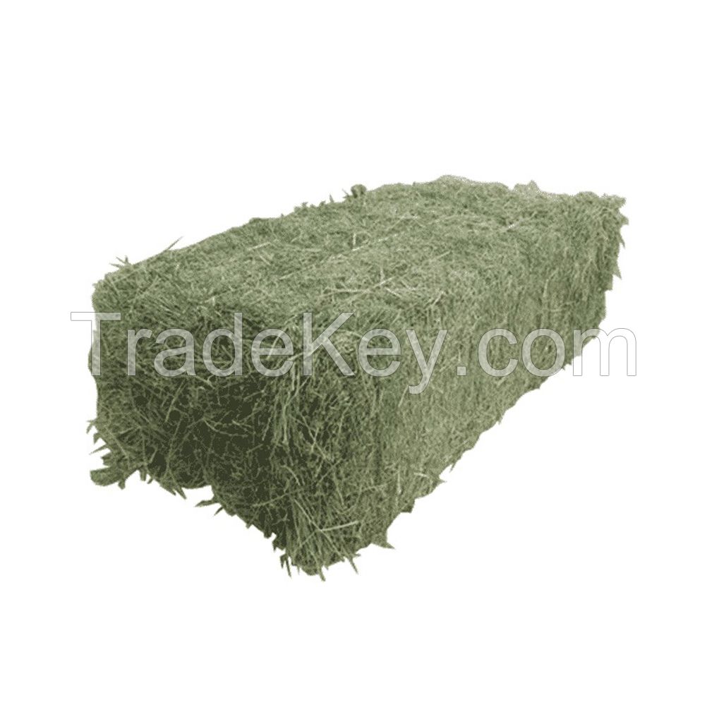 Alfalfa Hay for Animal Feeding /alfalfa hay pellets /Timothy Hay in Bales