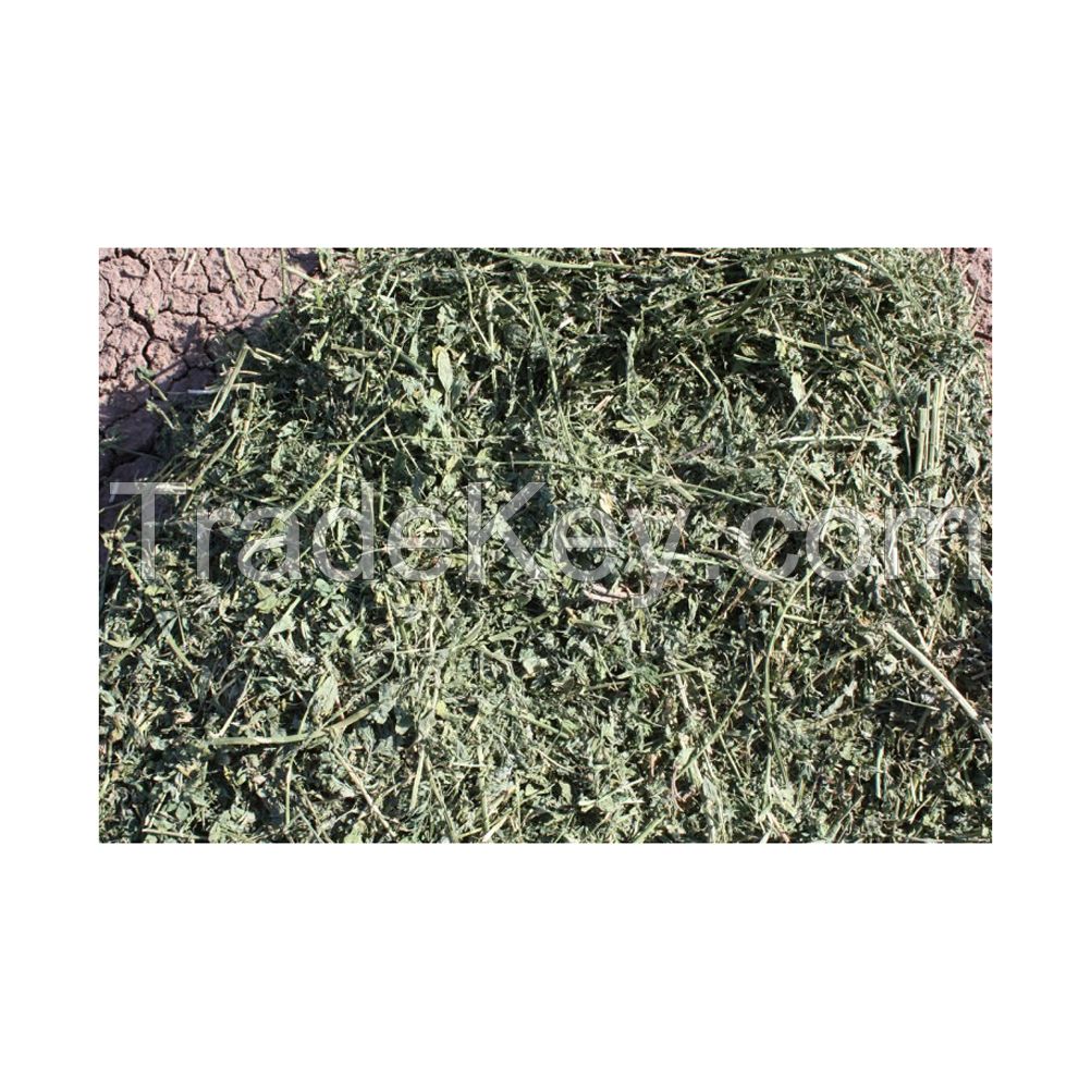 Alfalfa Hay for Animal Feeding /alfalfa hay pellets /Timothy Hay in Bales