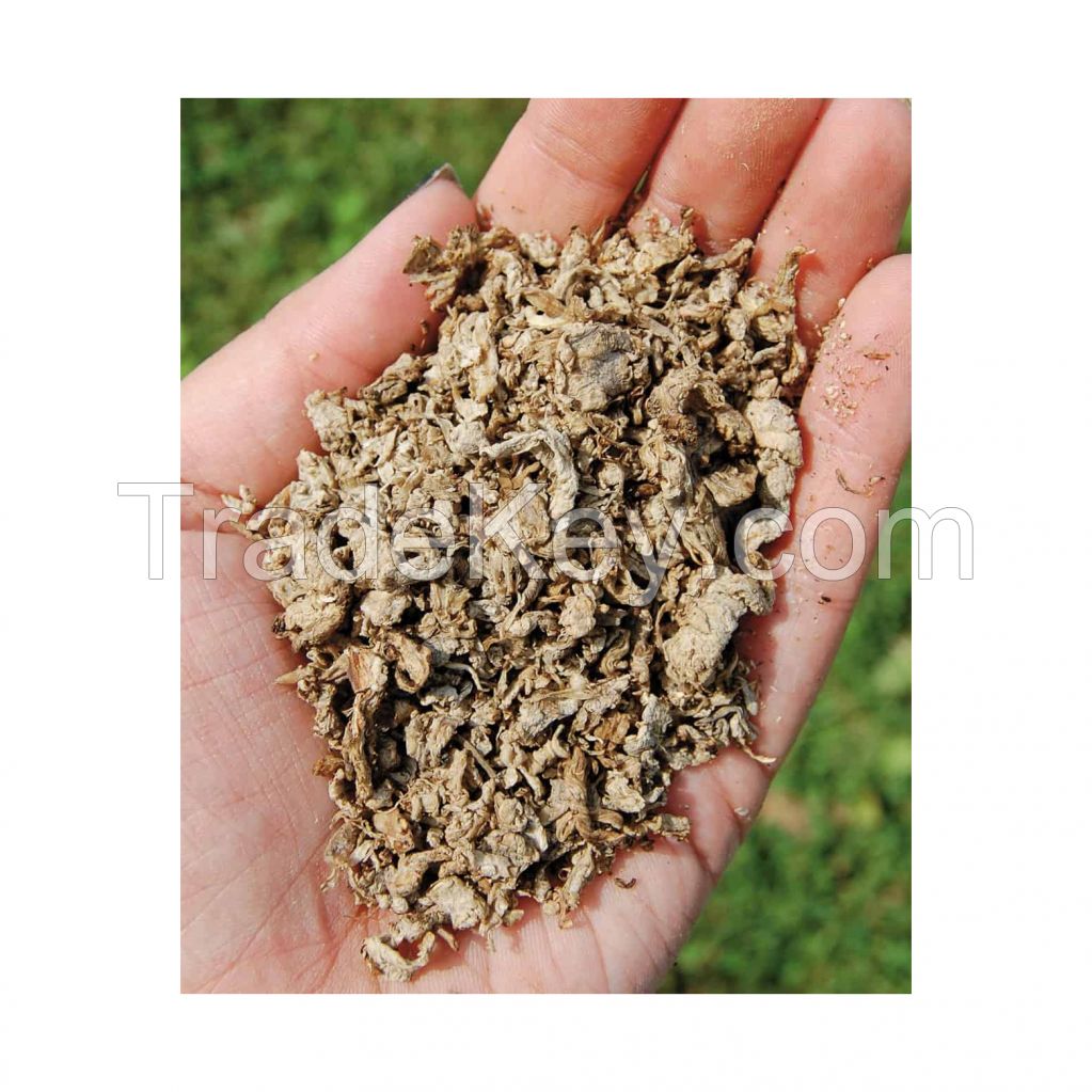 Beet pulp for sale at discounted wholesale rates ideal for wholesalers 