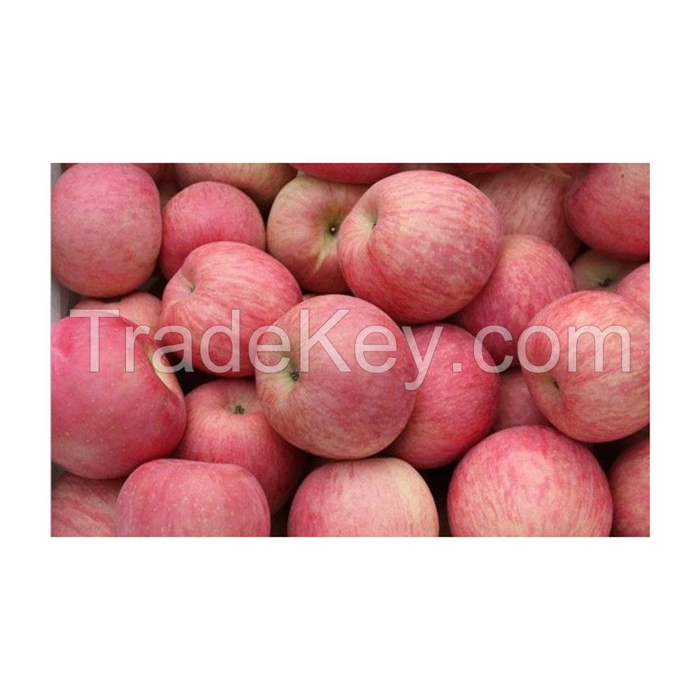 Affordable Red Apples for food suppliers and fruit markets