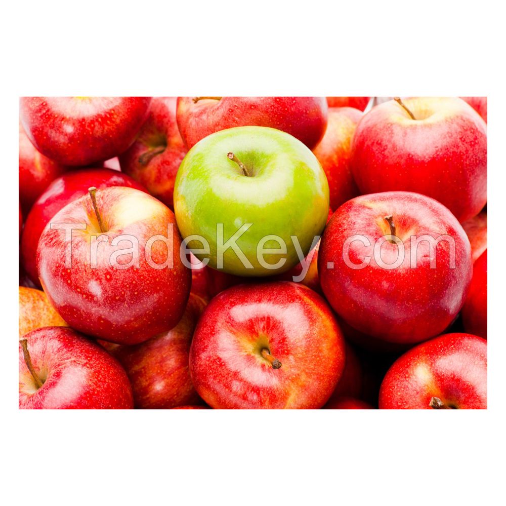 Affordable Red Apples for food suppliers and fruit markets