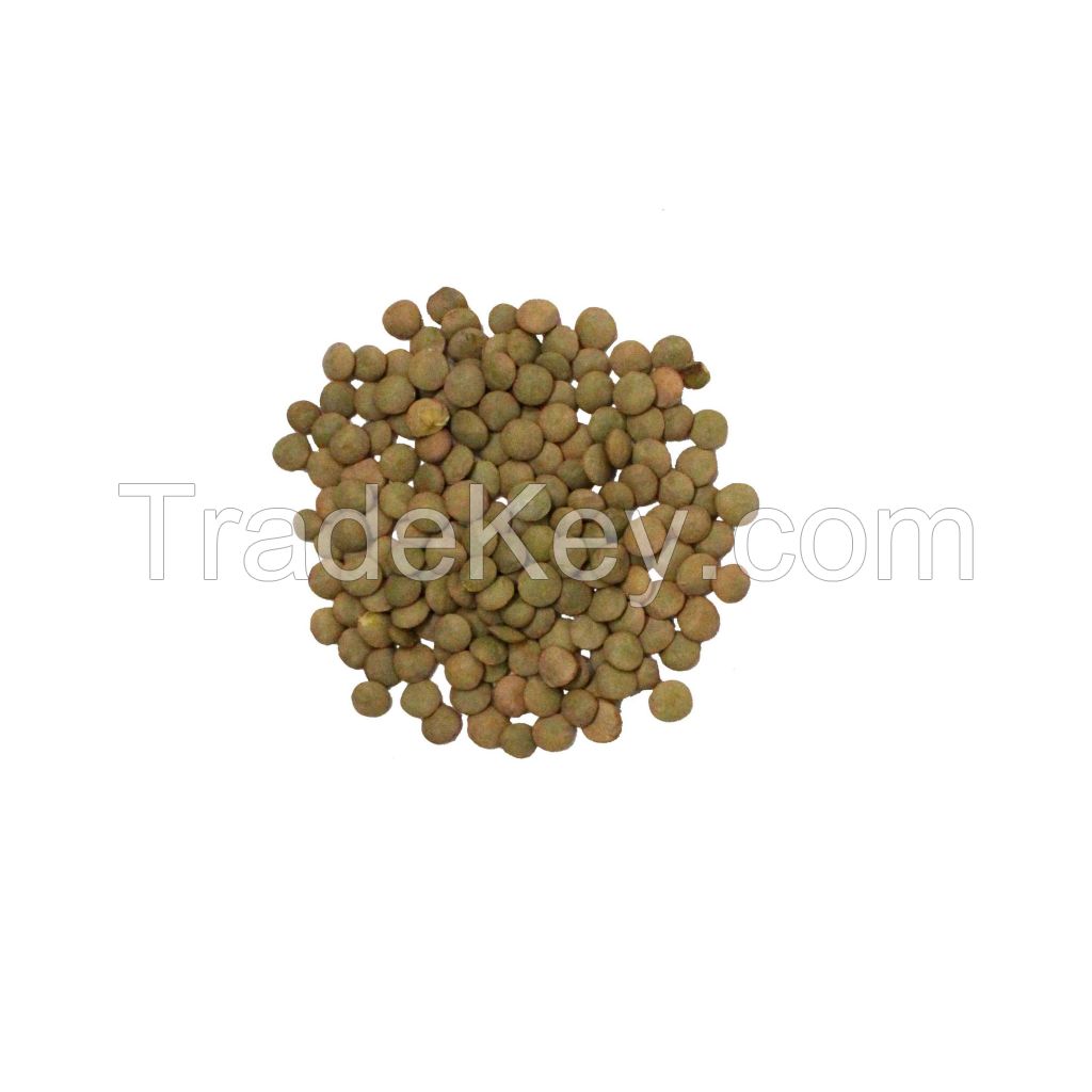 Premium Green Lentils available at wholesale prices