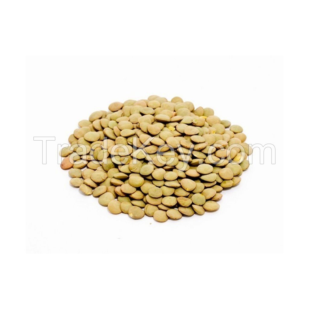Premium Green Lentils available at wholesale prices