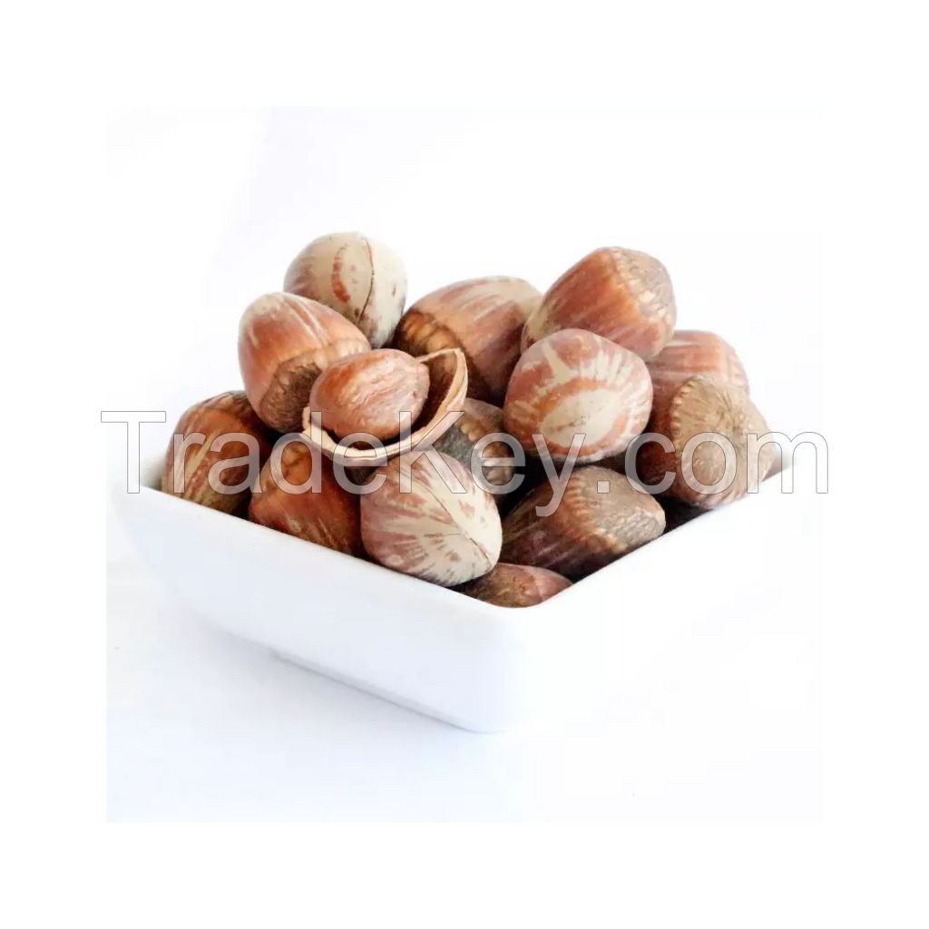 Wholesale hazelnuts for food processing companies