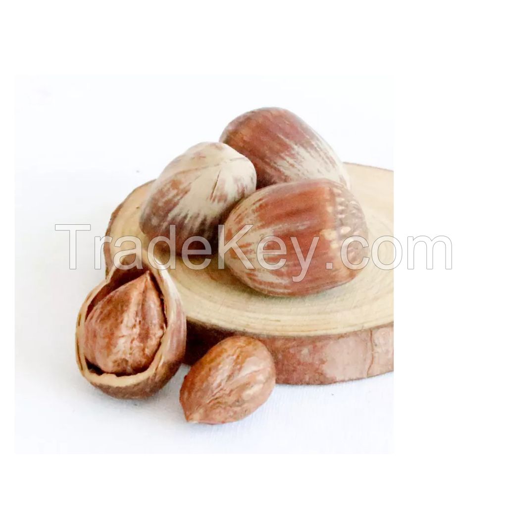 High-protein hazelnuts for nutritious consumption