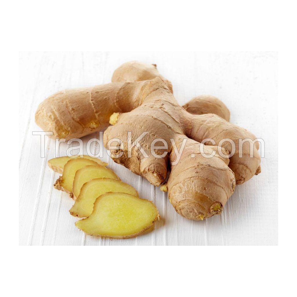 Farm-fresh ginger for wholesale buyers at competitive rates
