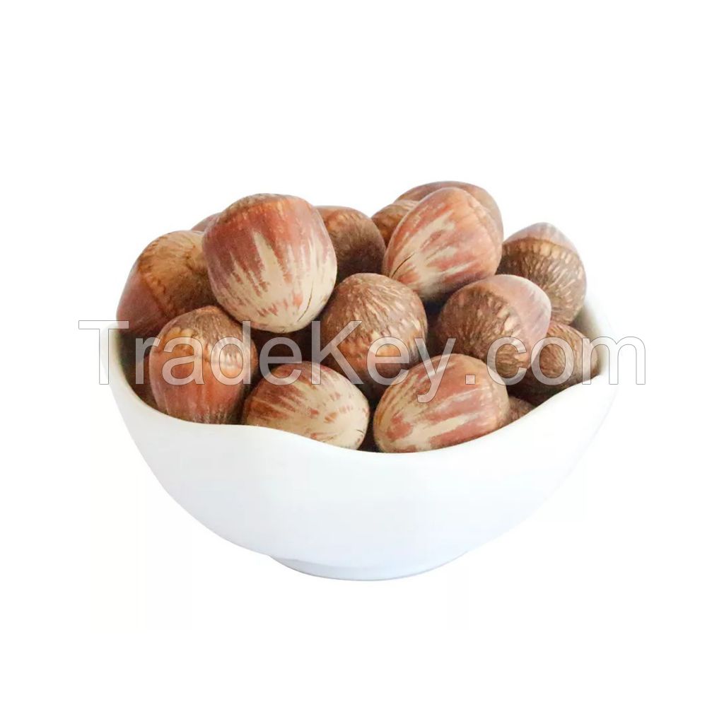 Wholesale hazelnuts for food processing companies