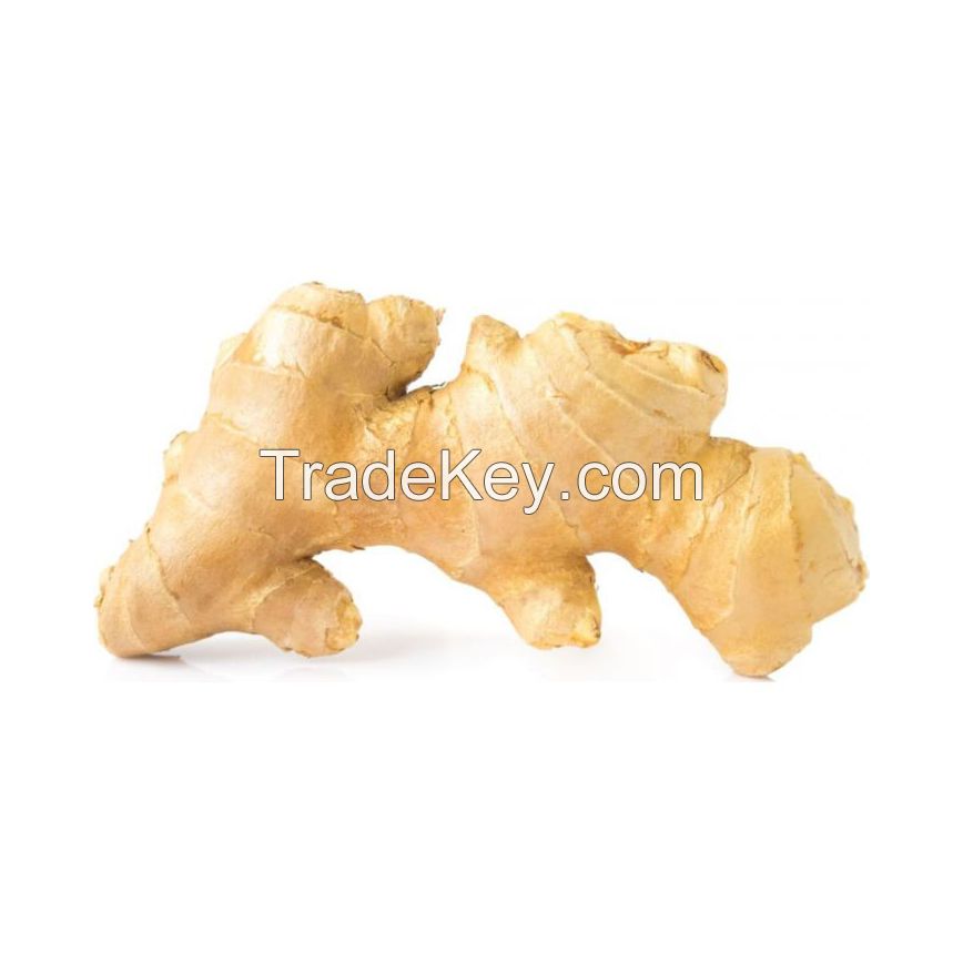 Farm-fresh ginger for wholesale buyers at competitive rates