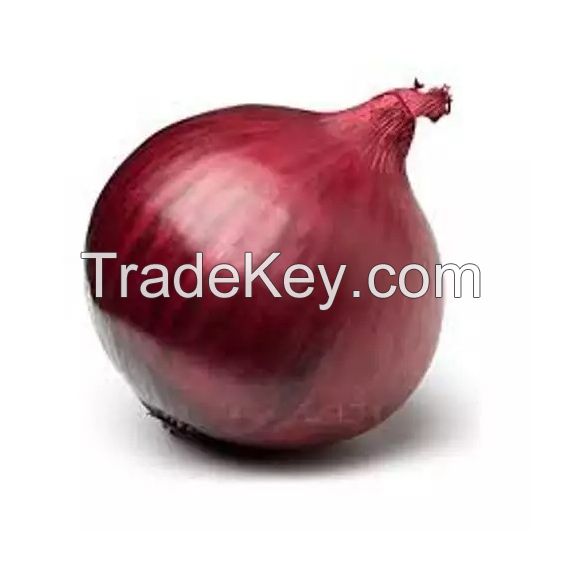 Wholesale red onions available for export and large-scale supply